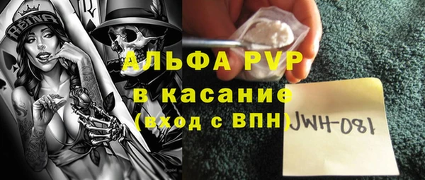ECSTASY Алзамай