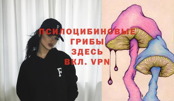 ECSTASY Алзамай